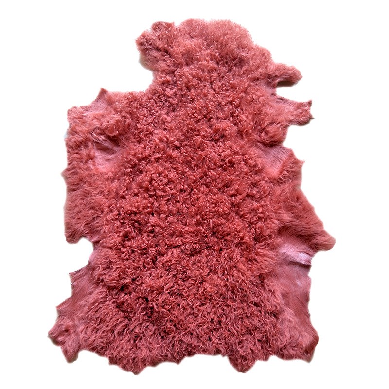 整张羊皮羊羔毛服装鞋p帽家居装饰大毛卷皮毛一体珍珠羔卷花绵羊