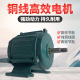 排风扇抽风机专用排风机强力380V强C力电机马达220V轴流工业换气