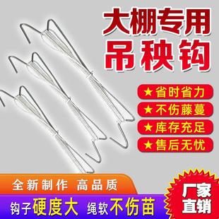大棚番茄西红柿挂钩M钩 吊蔓钩蔬菜吊绳 黄瓜吊秧钩 温室镀锌挂钩