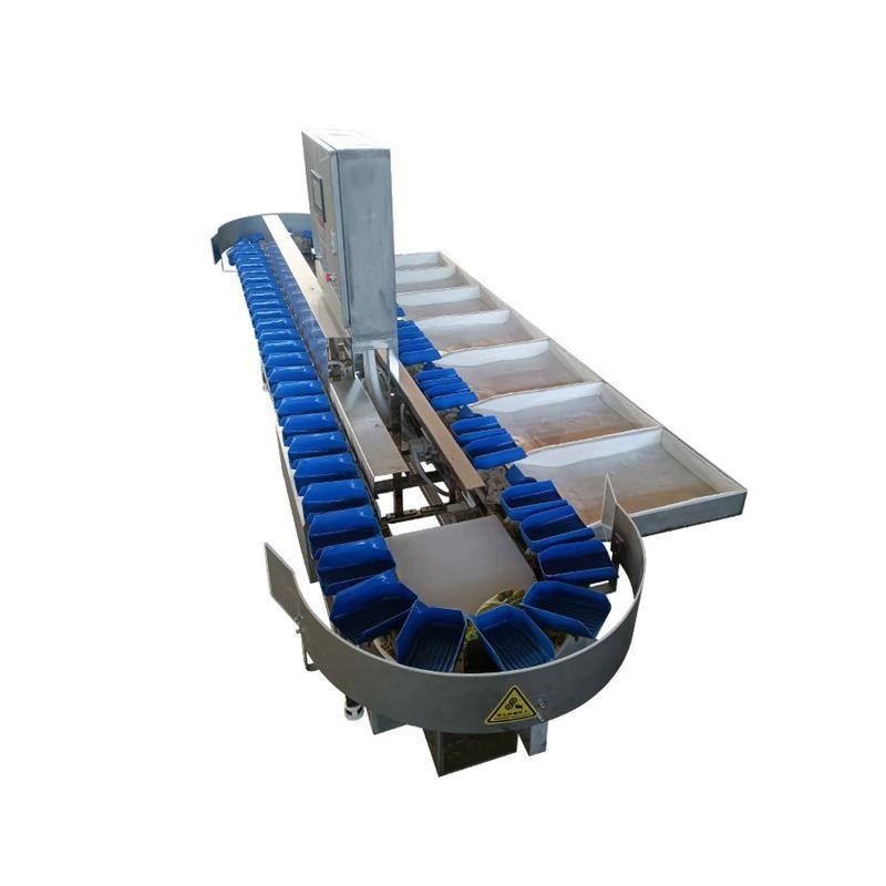 全自动水果分选机果蔬重量智能称重分拣机龙虾P鲍鱼海参多级分厂,清洗/食品/商业设备,选果机/分选机,淘宝优惠券,粉丝福利购,淘宝优惠卷