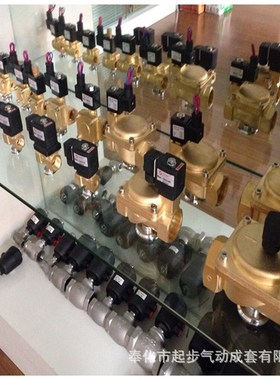 2231020 6213-06 6分宝德型直动式电磁H阀水阀油阀 AC220V DC24V