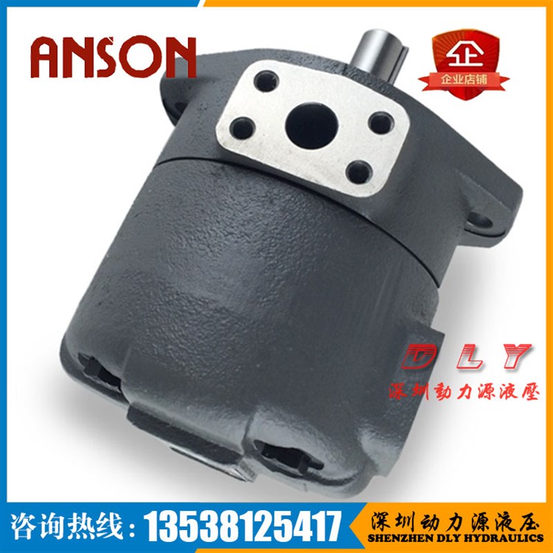 ANSON安c颂泵F11/F3-IVPV2-15/17/19AM-F/L-R/L-1A/1B/1C/1D-10/1 - 实物图