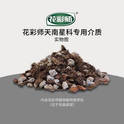 花彩师美乐棵天南星科专用土龟背竹专用营养液专用肥热带植物