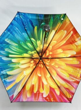 太阳城三折黑胶彩虹小雏菊抗风防晒晴雨两用不锈钢伞骨一甩干雨伞