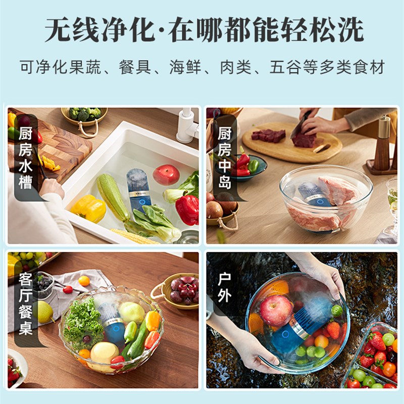 东菱胶囊果蔬净化器DoL-1212洗菜去农残杀抑菌消毒无线便携清洗机