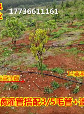极速4分20pe滴灌节水r灌溉管农用吊喷3分16果园果树农业滴水微喷