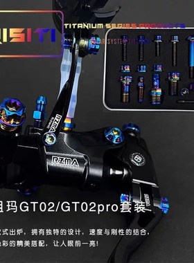 RISITI钛合金RZMAq瑞祖玛GT02/GT02 pro上泵螺丝套装摩托车改装