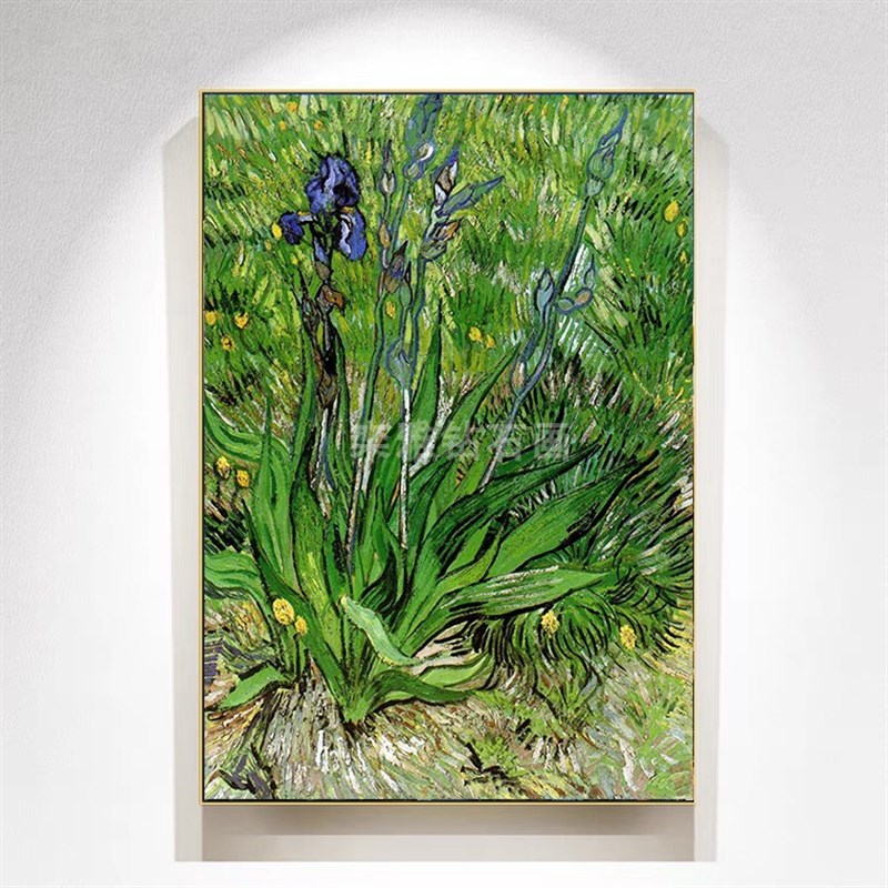欧式玄关DIY方钻满钻钻石画梵高绿草地上的一株T鳶尾花贴钻十字绣