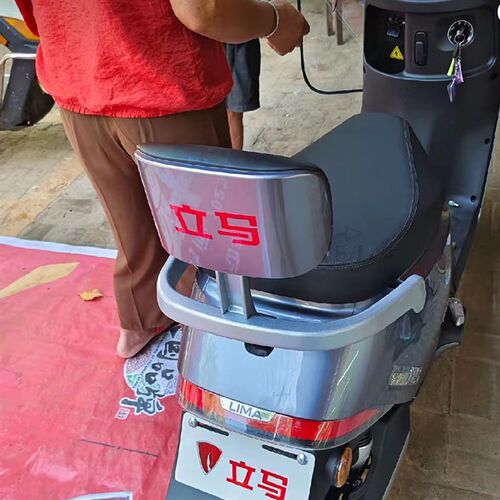 适用立马H6M3电动车尾箱r靠背支架LM800DQT-25铝合金加厚尾翼拉手