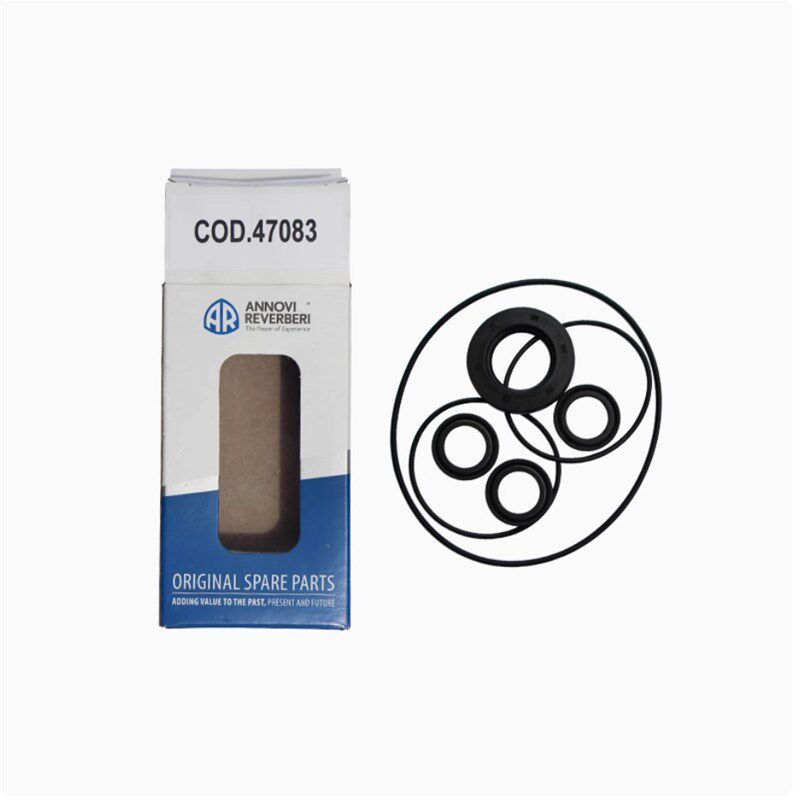 意大利AR泵头配件lCOD47083油封RGX.SHP.RG系列等油封配件