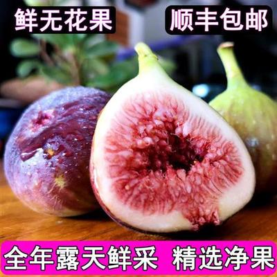 现摘云南露天无花果新鲜5斤水果当季大果青红皮鲜果整箱包邮威海3