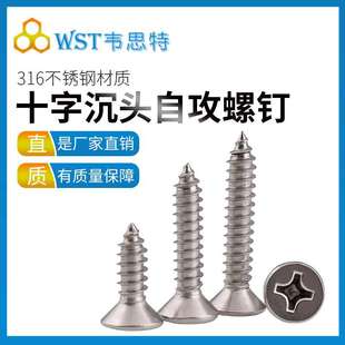 316不锈钢平头自攻螺丝钉M5M5A.5M6M6.3十字沉头螺丝自攻钉可