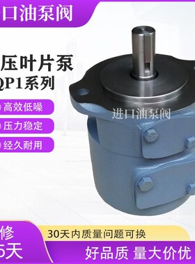 新款打包机油泵SQP1叶片泵SQPx2注塑SQP3液压泵TOKIMECC高包邮