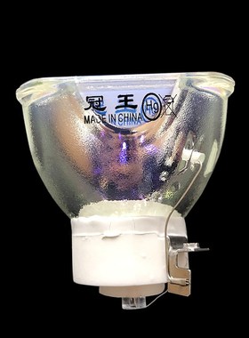 夏普XGa-EC500UA XG-EC550XA XG-EC600UA XG-EC650XA投影机/仪灯