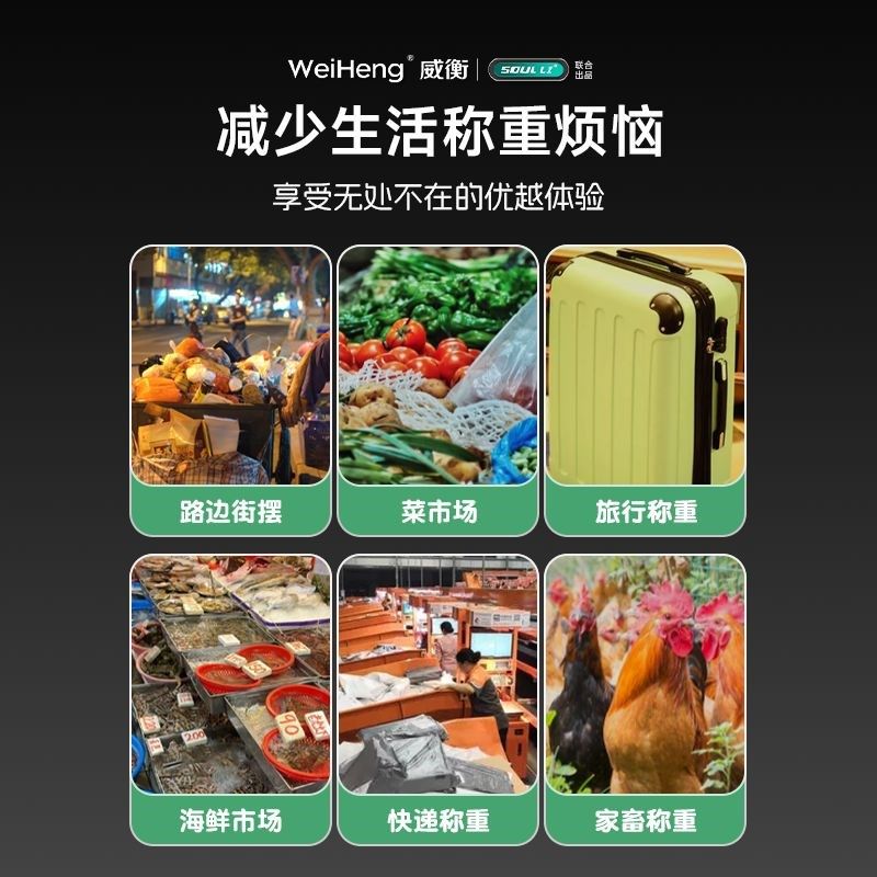 高精度手提电子秤小型p快递称便携式家用钩用吊勾弹簧行李称鱼器,厨房/烹饪用具,手提秤/挂秤,淘宝优惠券,粉丝福利购,淘宝优惠卷