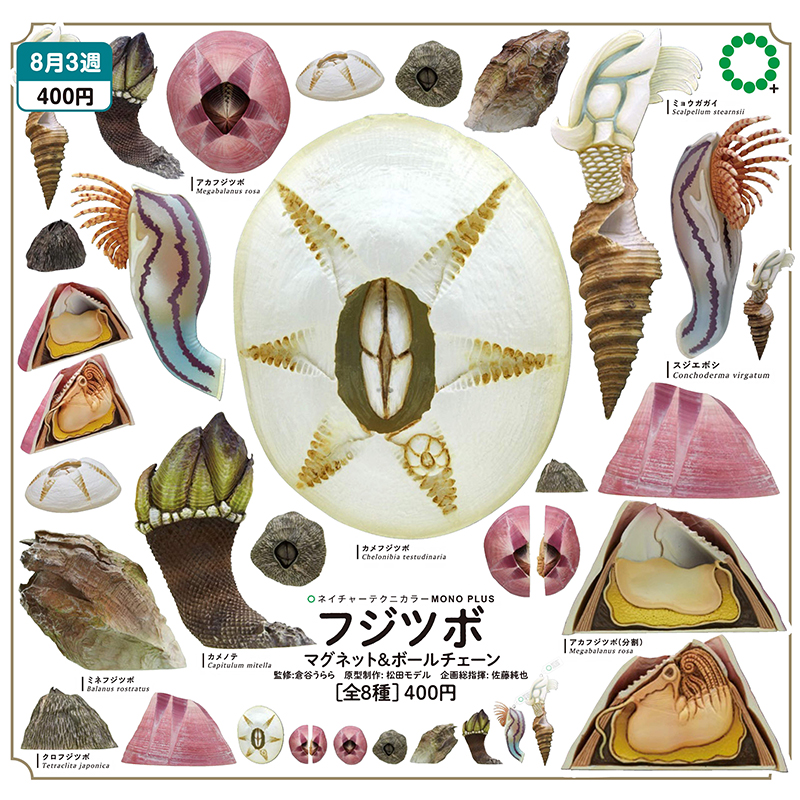 [嘻游记]预售扭蛋日本I