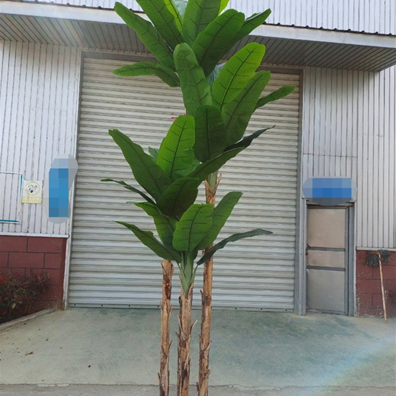 仿真芭蕉树售楼处房地产门v口装饰热带假绿植树仿生绿植橱窗造景,鲜花速递/花卉仿真/绿植园艺,仿真绿植,淘宝优惠券,粉丝福利购,淘宝优惠卷