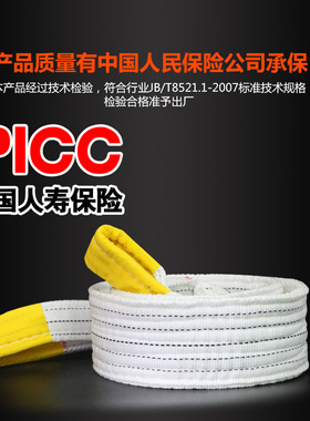 龙霸 白色扁平起重吊带绳子工业吊车吊装带3吨10Q吨T1t5吨起重吊