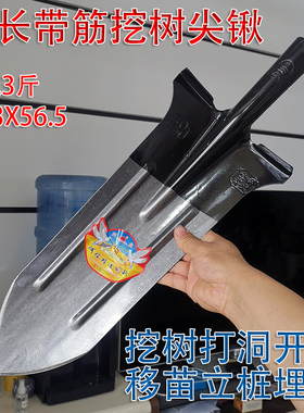 农用开沟锹宽肩挖树锹锰钢淬火加强筋挖洞立桩锹长柄绿化栽植移苗