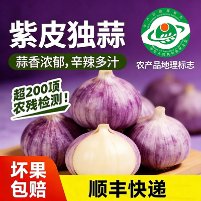 云南大理现挖紫皮独头大蒜顺丰发