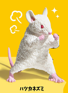 【童心】预售功夫动物 YELL正版 格斗猫咪老鼠龙猫