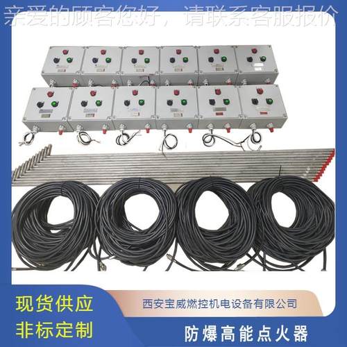 BWFD-2BWFD-20炉废气焚烧防能爆高点0火器