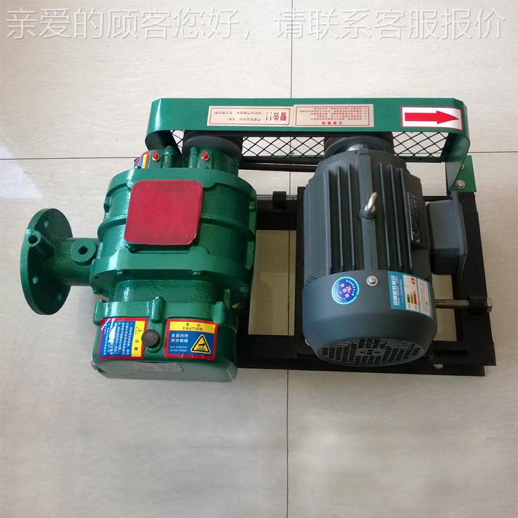 供应罗茨鼓风机 密集型罗茨风机 气力输送风机 水产养殖增氧机