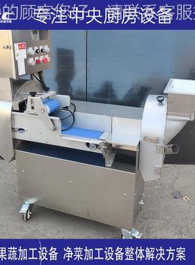 多功双头切菜机供应商用多果XWS能蔬切菜机1 用台湾80双头变频切