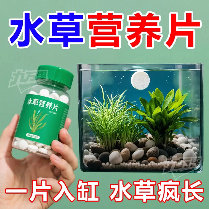 【水草一片绿】促长增艳不伤鱼虾