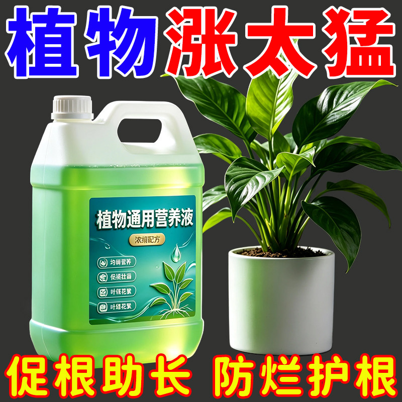 2500ml浓缩营养液植物通用型绿萝富贵竹发财树多肉水培养花卉绿植