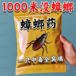蟑螂药强效出租屋家用无毒一窝端卧室厨房蟑螂克星灭虫神器灭蟑粉