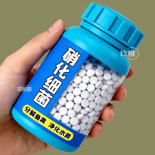 水族硝化细菌去腥臭长效维持生态
