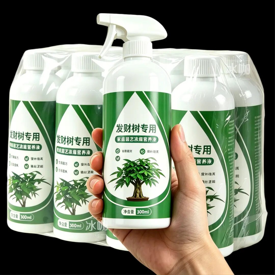 【叶片油绿】养出茂盛发财树
