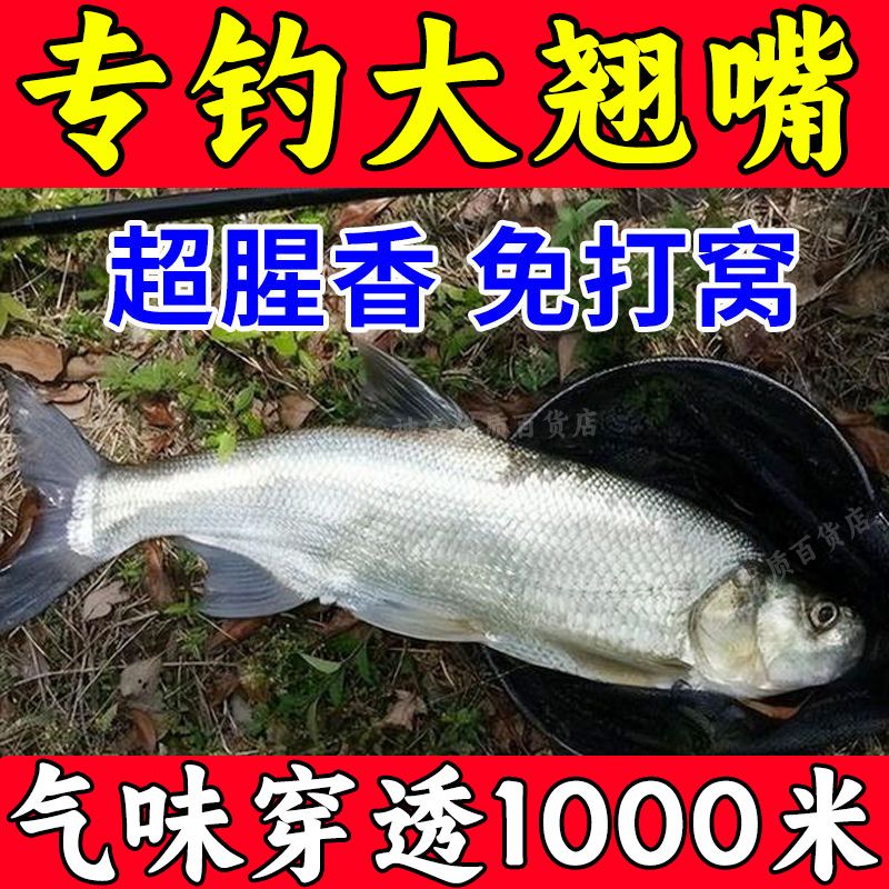 专钓大翘嘴上鱼极快爆杆连连