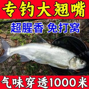 翘嘴小药钓鱼四季 野钓黑坑钓大翘嘴白条专用饵料食剂大全诱鱼狂拉