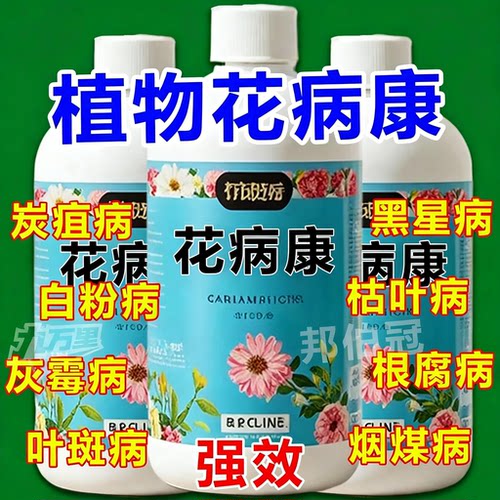 花病康喷雾三角梅月季兰花多肉花卉通用炭疽白粉灰霉黑斑病