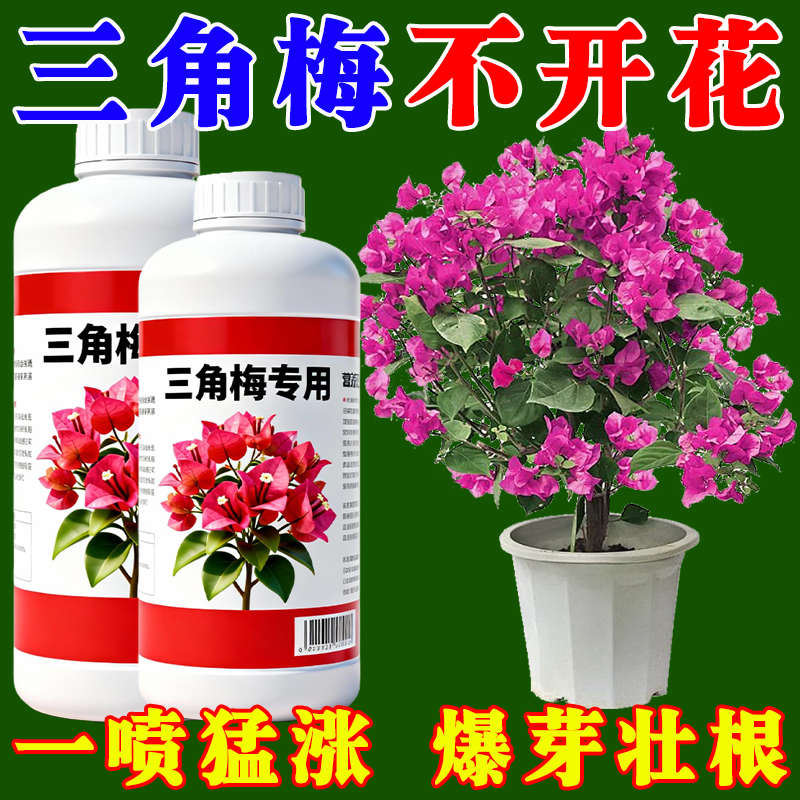 三角梅开花专用营养液肥促花爆花骨粉复合肥料养花枝繁叶茂促开花
