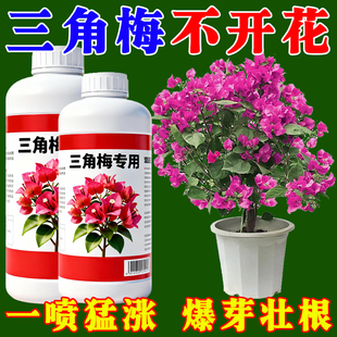 三角梅开花专用营养液肥促花爆花骨粉复合肥料养花枝繁叶茂促开花