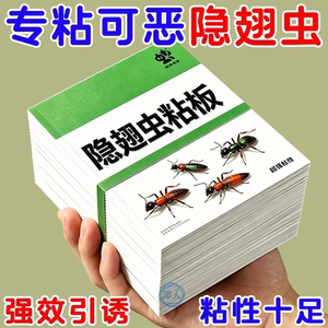 蟑螂粘板撕开即放轻松除爬虫虫害