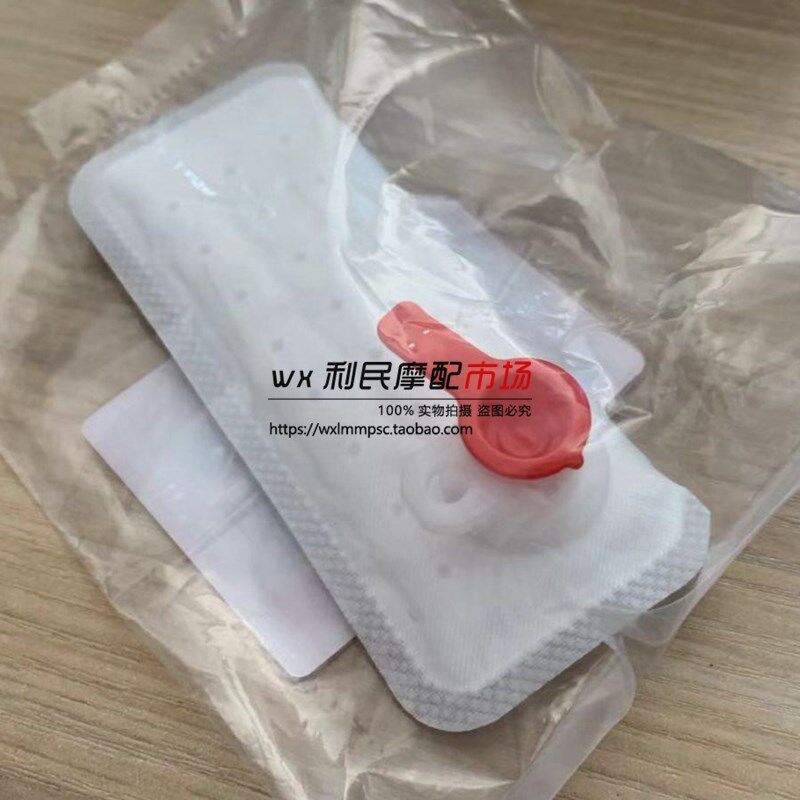 适用摩托车骊驰GW250 S/F GxSX250R DL250 燃油泵滤网汽油滤芯