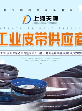 霓达龙带TFdL15s 10s 7s TLR9s倍捻机加弹机包纱机气流纺纺机配件