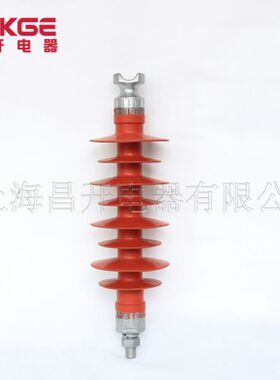 10KV复d合针式金属氧化物有串联间隙防雷器绝缘子FPY5C-17/50