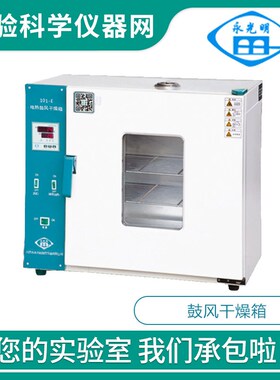 北京永光a明101-0ES/1ES/2ES/3ES鼓风干燥箱300C烘干灭菌EBS系