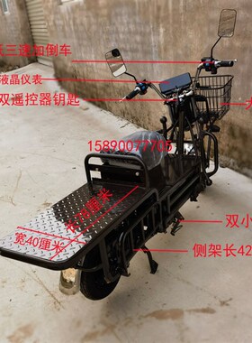 载重王电动电瓶车电摩载货大力神C外卖车送餐车踏板超大平板长跑