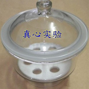 210mm u白色透明 玻璃仪器 附瓷板 玻璃干燥器