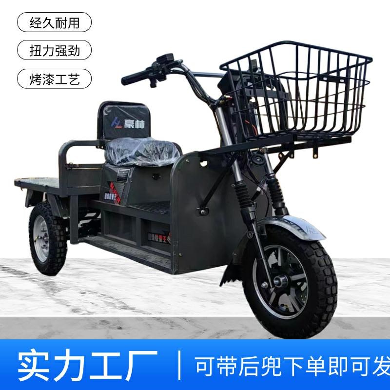 新款载重王电动三轮车大力神拉货车E快餐拉客快递爬坡王家用送货