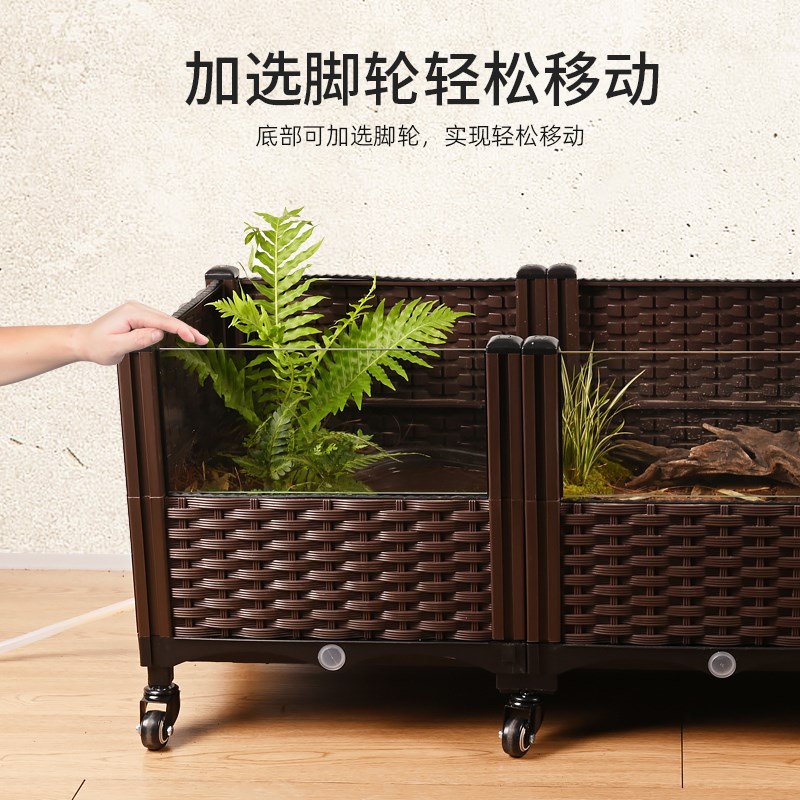黄缘乌龟养f殖箱安缘闭壳龟半水龟玻璃生态环境造景植物饲养缸