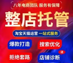淘宝代运营网店23