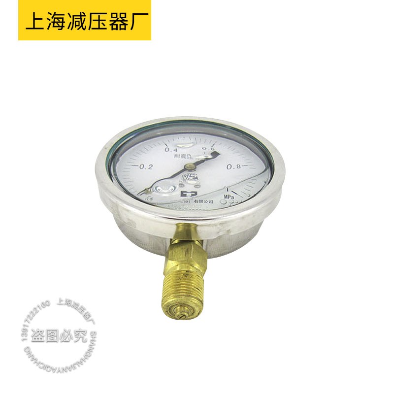 YN100耐震压力表上海减压器厂0.1/1.6/60MPA不锈钢外壳耐震压力表