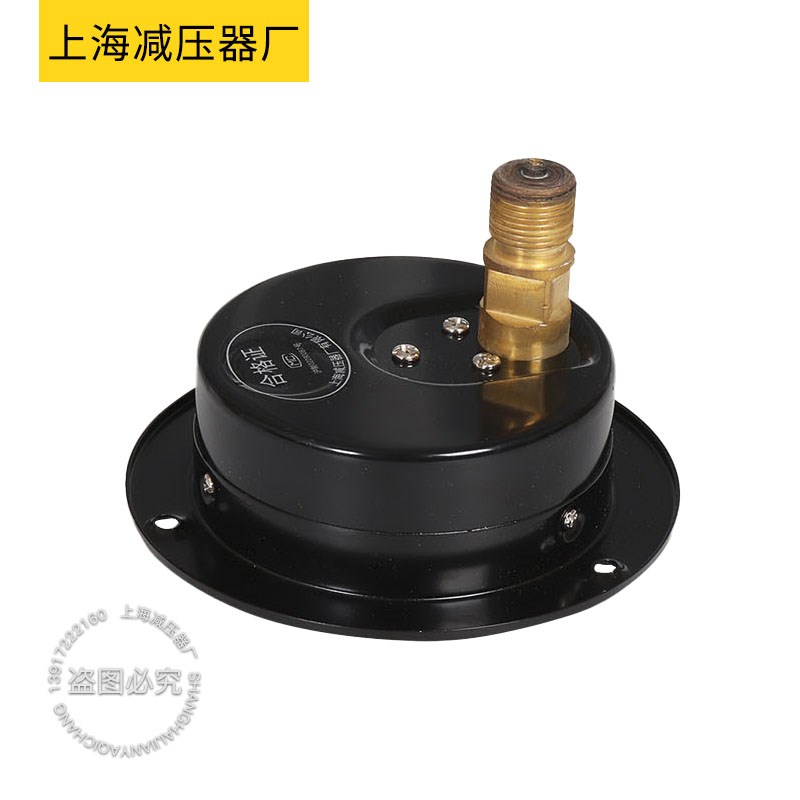 Y-100ZT轴向带边压力表0-1/1.6/2.5/4MPA上海减压器厂气体气压表